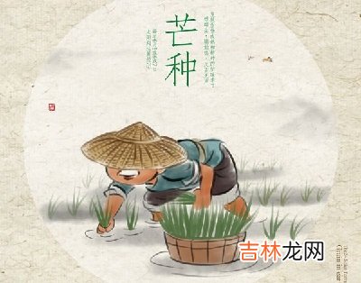 芒种节气要注意什么？芒种节气出生的属羊人命运如何？