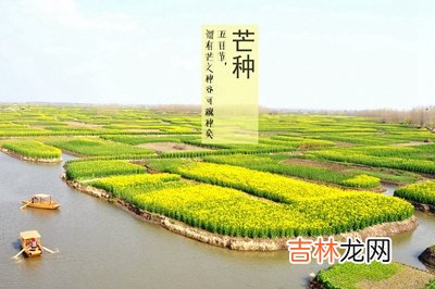 芒种后的第九天交运什么意思？2020年芒种出生的人好吗？