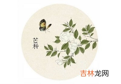 芒种后的第九天交运什么意思？2020年芒种出生的人好吗？