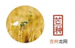 芒种节气简介，生肖属蛇的人芒种节气出生命运怎么样？