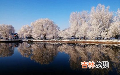 抽签算命,2020年小雪后一天适合理发吗,小雪下一个节气是大雪吗？