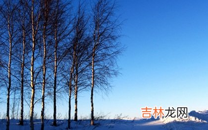 抽签算命,2020年小雪后一天适合理发吗,小雪下一个节气是大雪吗？