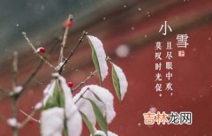 八字算命,2020年11月22日小雪财神爷吉位在哪里,小雪第几个节气？