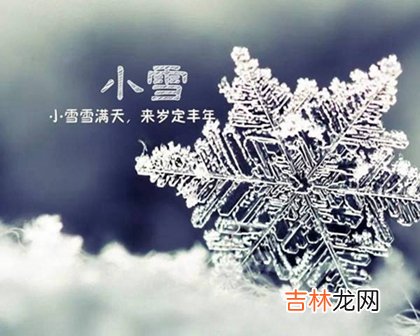 姓名测试打分,2020年小雪后一天不宜搬家吗,2020年三九贴时间表解析！