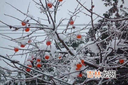 姓名测试打分,2020年小雪后一天不宜搬家吗,2020年三九贴时间表解析！