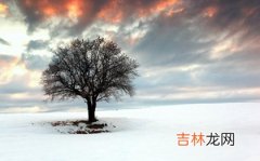 生辰八字解读,2020年小雪适合装修婚房吗,2020年小雪这天会下雪吗？