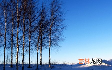 免费算命,2020年小雪前一天适合订婚吗,小雪节气相关民谚大全！