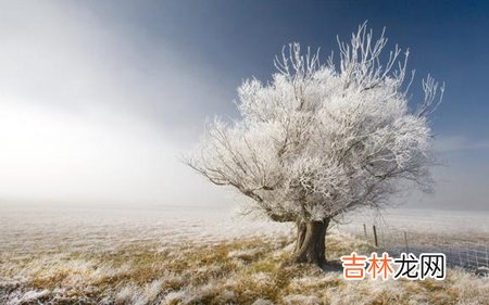 免费算命,2020年小雪前一天适合订婚吗,小雪节气相关民谚大全！