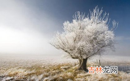 真人算命大师在线算命,2020年小雪后一天宜祭祀吗,2020-2020冬季是暖冬吗？