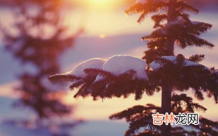 免费算命,2020年小雪前一天可以结婚吗,结婚择日三原则解析！