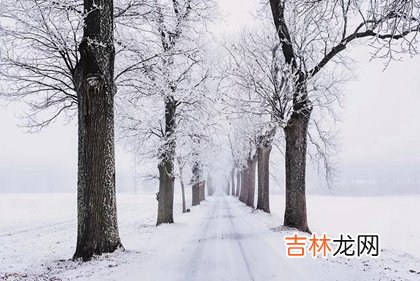 风水婚姻,2020年大雪适合安葬逝者吗,2020年12月7日是什么节日？