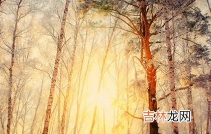 事业财运,2020年12月7日大雪装修婚房好吗,大雪三候是什么意思？