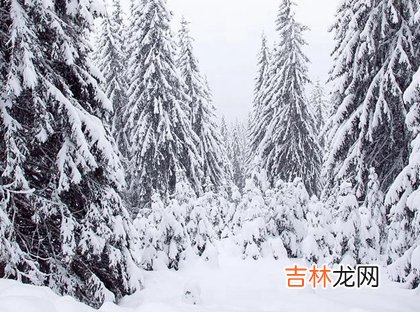 算命大师,2020年12月7日大雪祭祀好不好,12月7日卦象是上上卦吗？