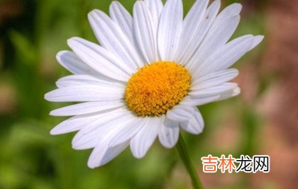 免费算命,2020年农历十二月廿八祭祀好吗,腊月二十八是什么日子？
