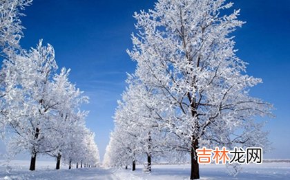 算命婚姻,2020年小雪的具体时辰是多少,关于小雪节气谚语解析！