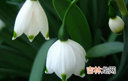 免费算命婚姻,2020年腊月二十八适合破土修坟吗,1月22日今天吉时解析！