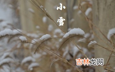 生辰八字算命,2020年小雪节气搬家好不好？小雪节气怎么计算？