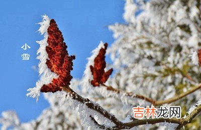 测字算卦,2020年小雪节气是农历哪一天？这天适合搬家乔迁吗？