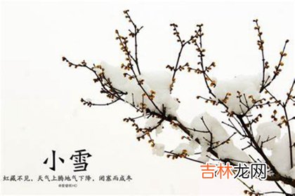 算卦,2020年小雪节气提车好不好,距离2020年小雪还有几天？