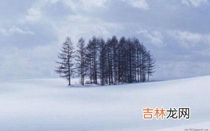 运势预测,2020年小雪这天不宜做什么,小雪节气是什么意思?