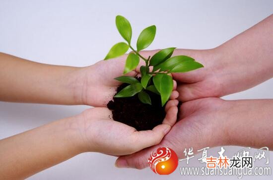 在线测字,易经算命：只有走这步大运，才能将八字中的财变为现实中的财富