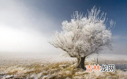 周易占卜,2020年小雪适合出远门旅游看雪吗,小雪是反映降水节气吗?