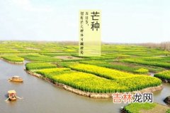 2020年6月5日芒种出生好吗？芒种前出生为什么算四月？