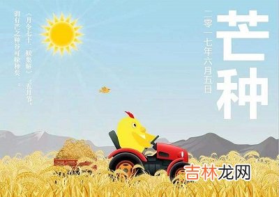 2020年芒种节气午时出生的宝宝命运怎么样？