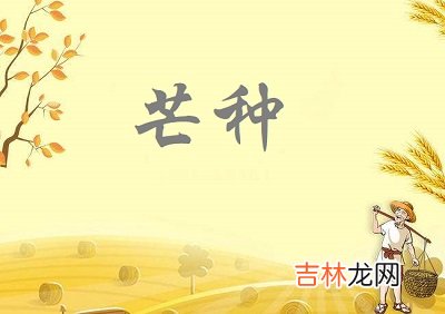 2020年芒种节气巳时生人五行缺什么，是什么命？