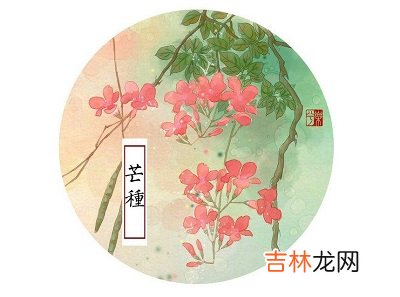 2020年芒种节气巳时生人五行缺什么，是什么命？