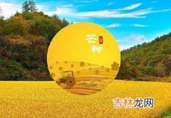 2020年芒种节气寅时出生的宝宝命好不好，五行分析