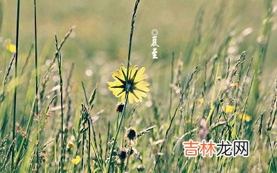 2020年夏至节气子时生人五行缺什么，是什么命？