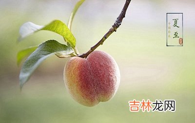 2020鼠年夏至节气巳时出生属鼠宝宝命好吗？