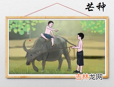 2020庚子年芒种节气卯时出生命理解析