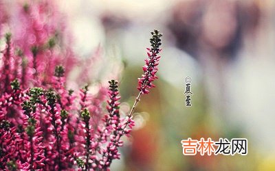 2020年夏至节气辰时出生的宝宝命好不好，五行分析