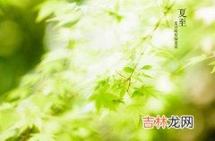 2020鼠年夏至节气午时出生属鼠宝宝命好吗？