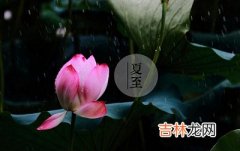 2020年夏至是几月几日几点几分？属虎夏至出生好吗？