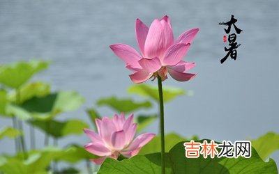 2020鼠年农历六月初二大暑节气适合求嗣吗?