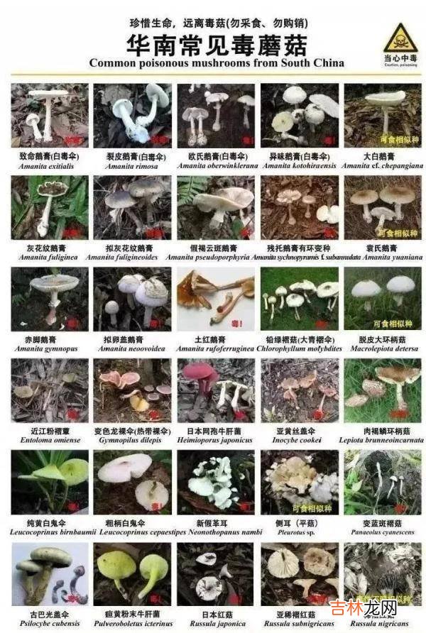 紧急提醒：不要吃！台州一对夫妻险丧命