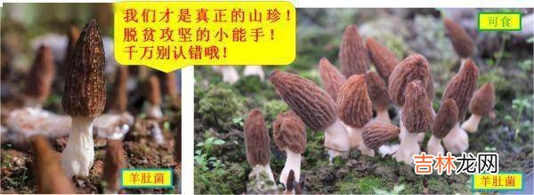 紧急提醒：不要吃！台州一对夫妻险丧命