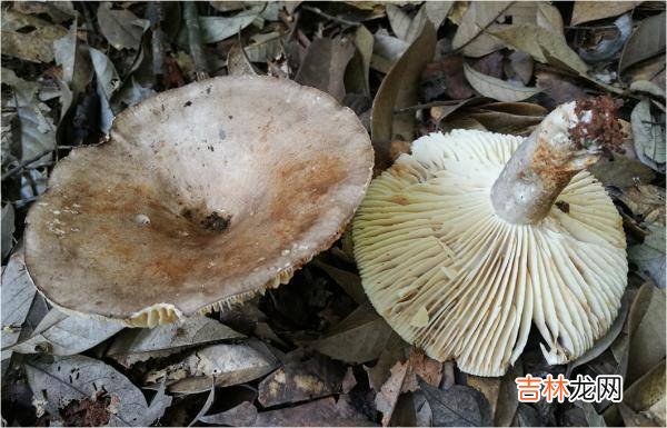 紧急提醒：不要吃！台州一对夫妻险丧命