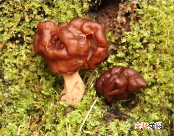 紧急提醒：不要吃！台州一对夫妻险丧命