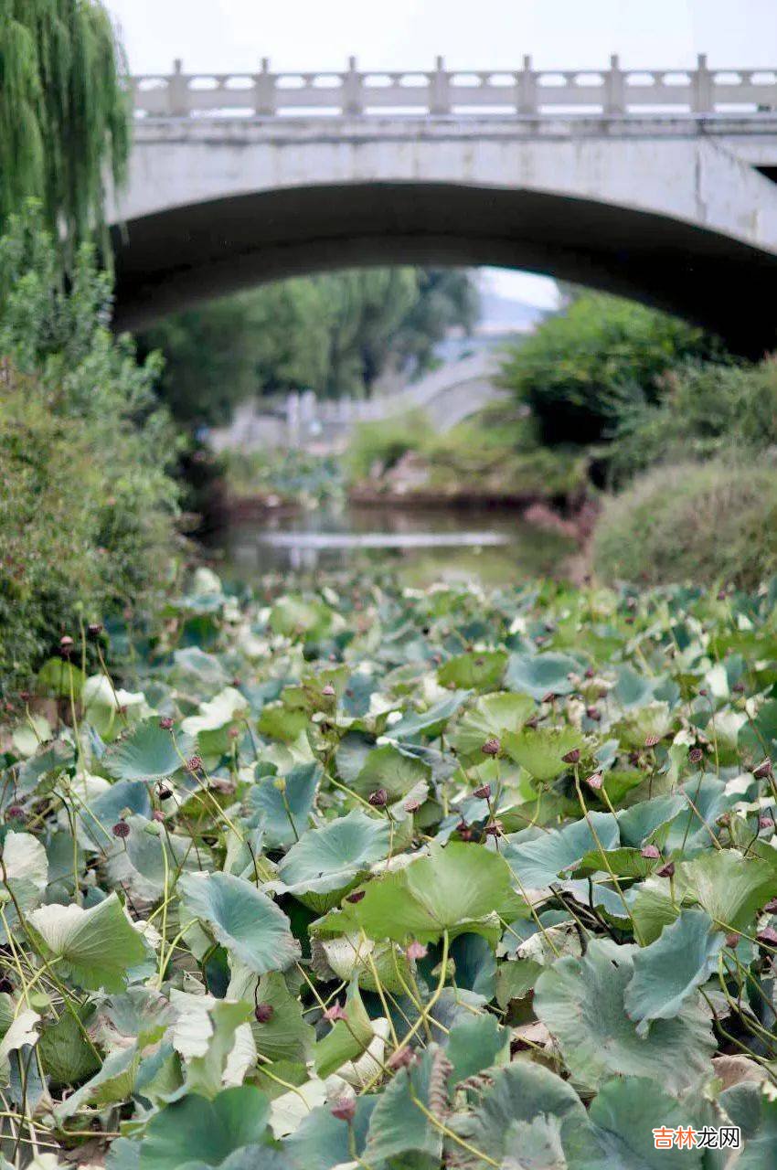 知否，知否，济南幼儿师范高等专科学校秋意正浓