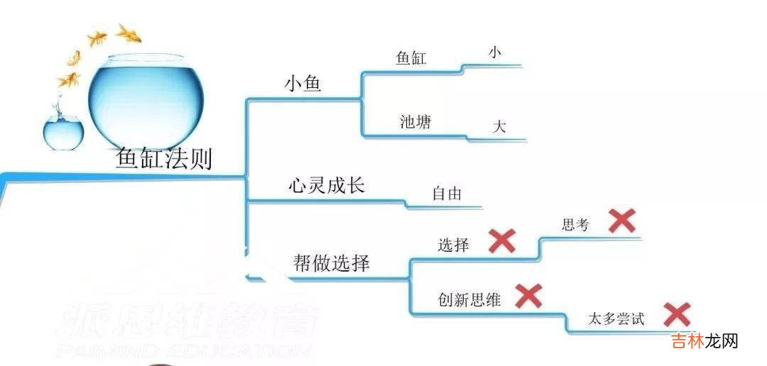 教育别因“浴缸法则”而受限，孩子受困于鱼缸之中，父母却不自知