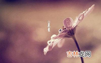 2020年夏至节气丑时出生的宝宝命运怎么样?