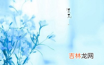 属牛的人夏至出生好吗？夏至的下一个节气是什么？