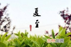 2020鼠年夏至节气酉时出生的宝宝命好吗？