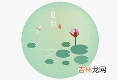 2020庚子鼠年夏至节气亥时出生的人是什么命？