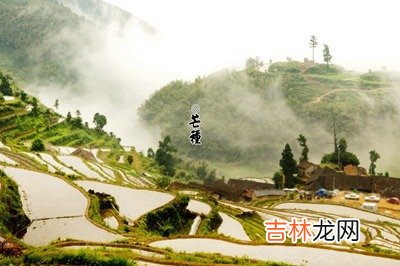 2020年芒种时辰是几点几分是什么时间?芒种出生命好吗?