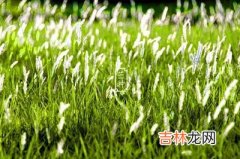 2020年芒种时辰是几点几分是什么时间？芒种出生命好吗？